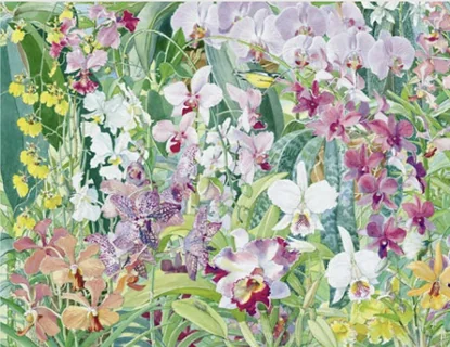Jill Walker watercolour — orchids