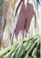 Jill Walker watercolour — palm detail wide crop